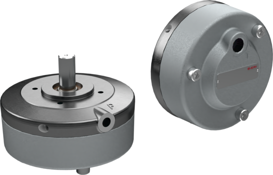 Special radial piston pumps SRK701